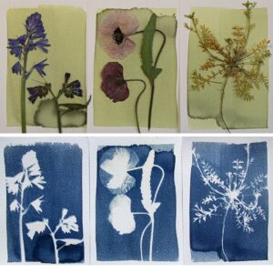 URADI SAM KOMPLET ZA CIJANOTIPIJU