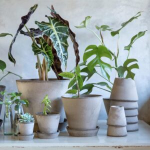 Bergspotter Julie sivi