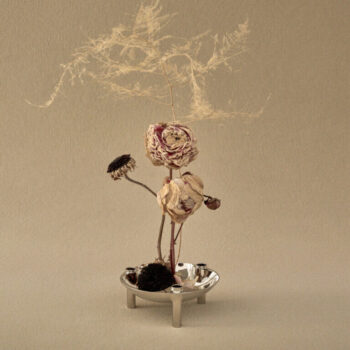 Stoff Nagel ukrasna zdjelica, Chrome